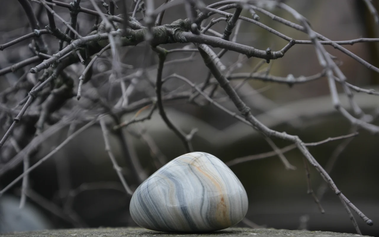 Complex systems contrasted with simplicity